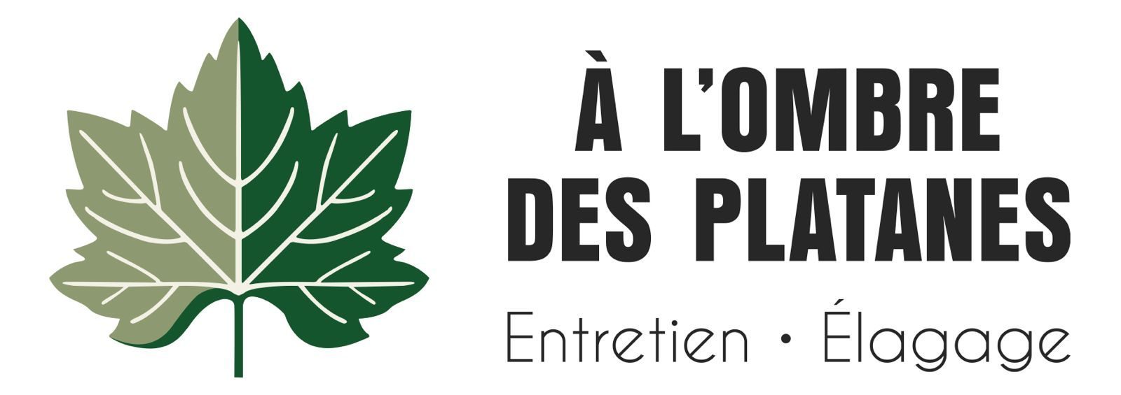 Alombredesplatanes